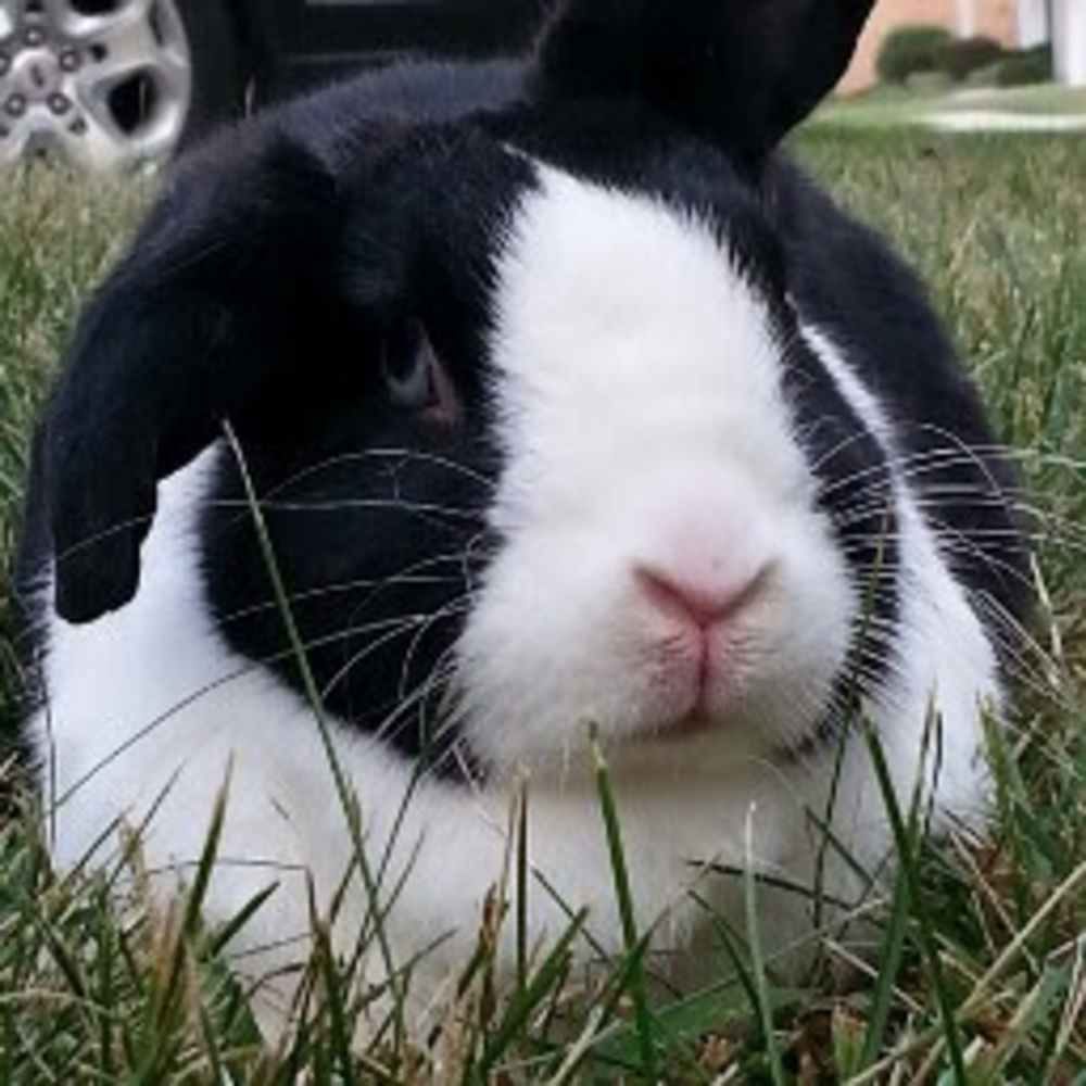 Meet your Posher, Jamie